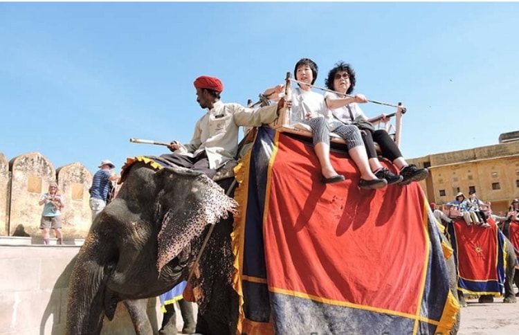 Elephant ride at Amber Fort