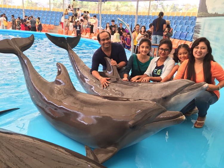 Enjoyable Dolphin show at Bangkok