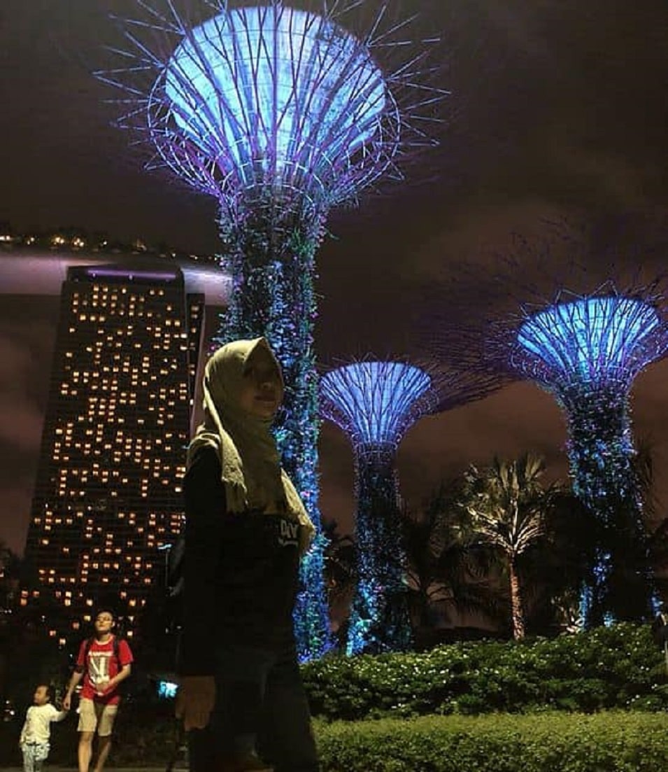Gardens by the Bay is Singapore places to visit in singapore with family (2)
