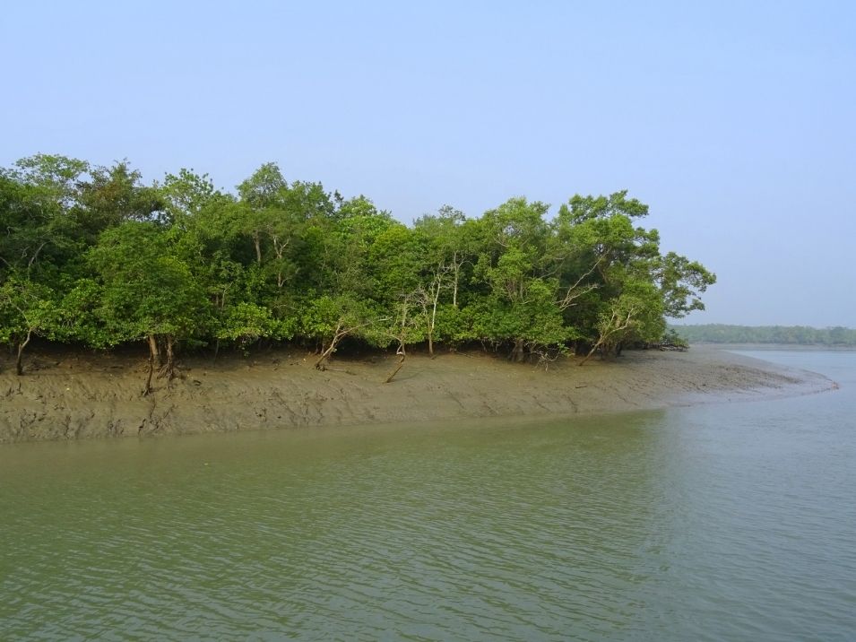 Dublar char is a famous island at Sundarbans tourist spot in Bangladesh